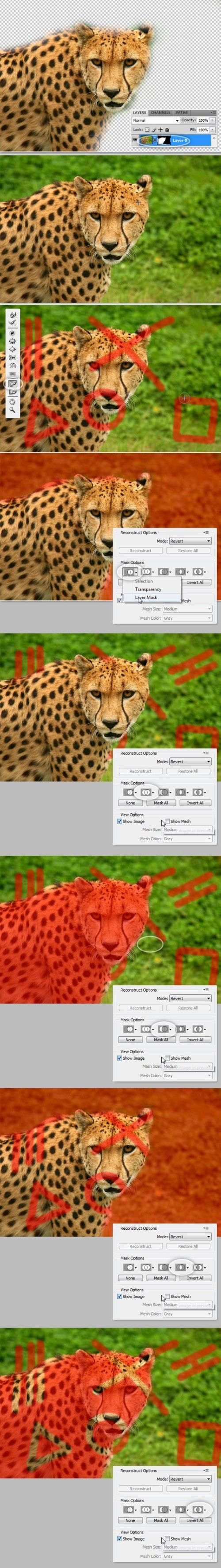 ������ Liquify (��������) � �������