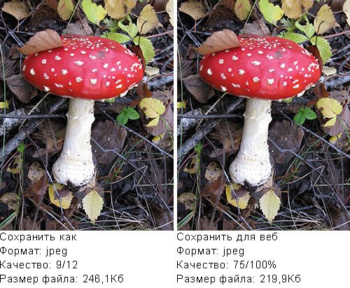 Как уменьшить вес фотографии в Фотошоп Как уменьшить вес фотографии в Фотошоп