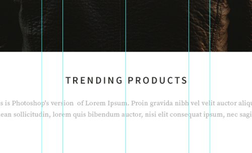 ������ Shopify-������� ��� ��������-��������