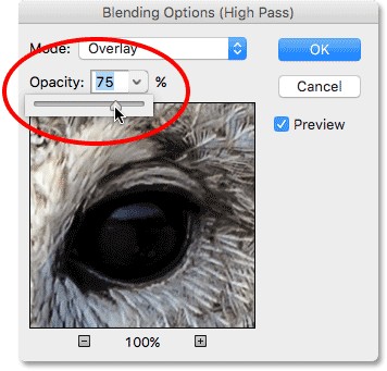 ������ High Pass (�������� ��������)