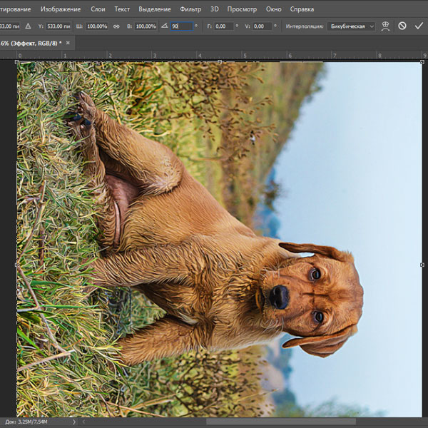 Картина маслом в Фотошоп Картина маслом в Фотошоп