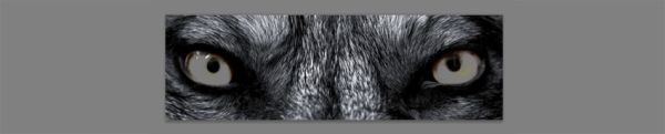 Как сделать GIF анимацию Как сделать GIF анимацию