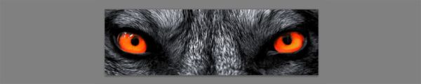 Как сделать GIF анимацию Как сделать GIF анимацию