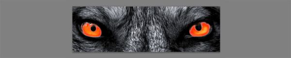 Как сделать GIF анимацию Как сделать GIF анимацию