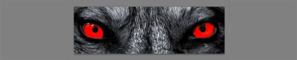 Как сделать GIF анимацию Как сделать GIF анимацию