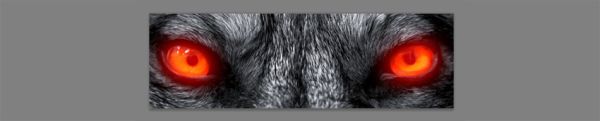 Как сделать GIF анимацию Как сделать GIF анимацию