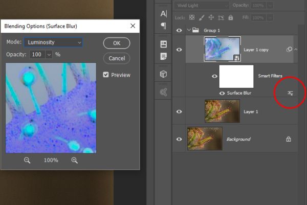 Как усилить резкость в Photoshop Как усилить резкость в Photoshop
