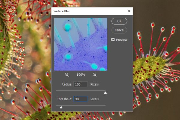 Как усилить резкость в Photoshop Как усилить резкость в Photoshop