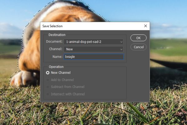 Изменение масштаба изображения с помощью Content-Aware Scale Изменение масштаба изображения с помощью Content-Aware Scale