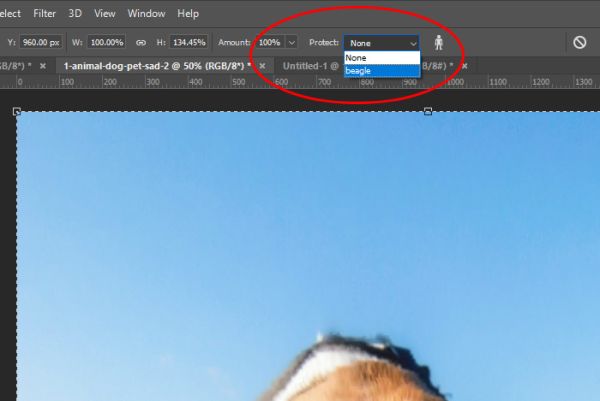 Изменение масштаба изображения с помощью Content-Aware Scale Изменение масштаба изображения с помощью Content-Aware Scale